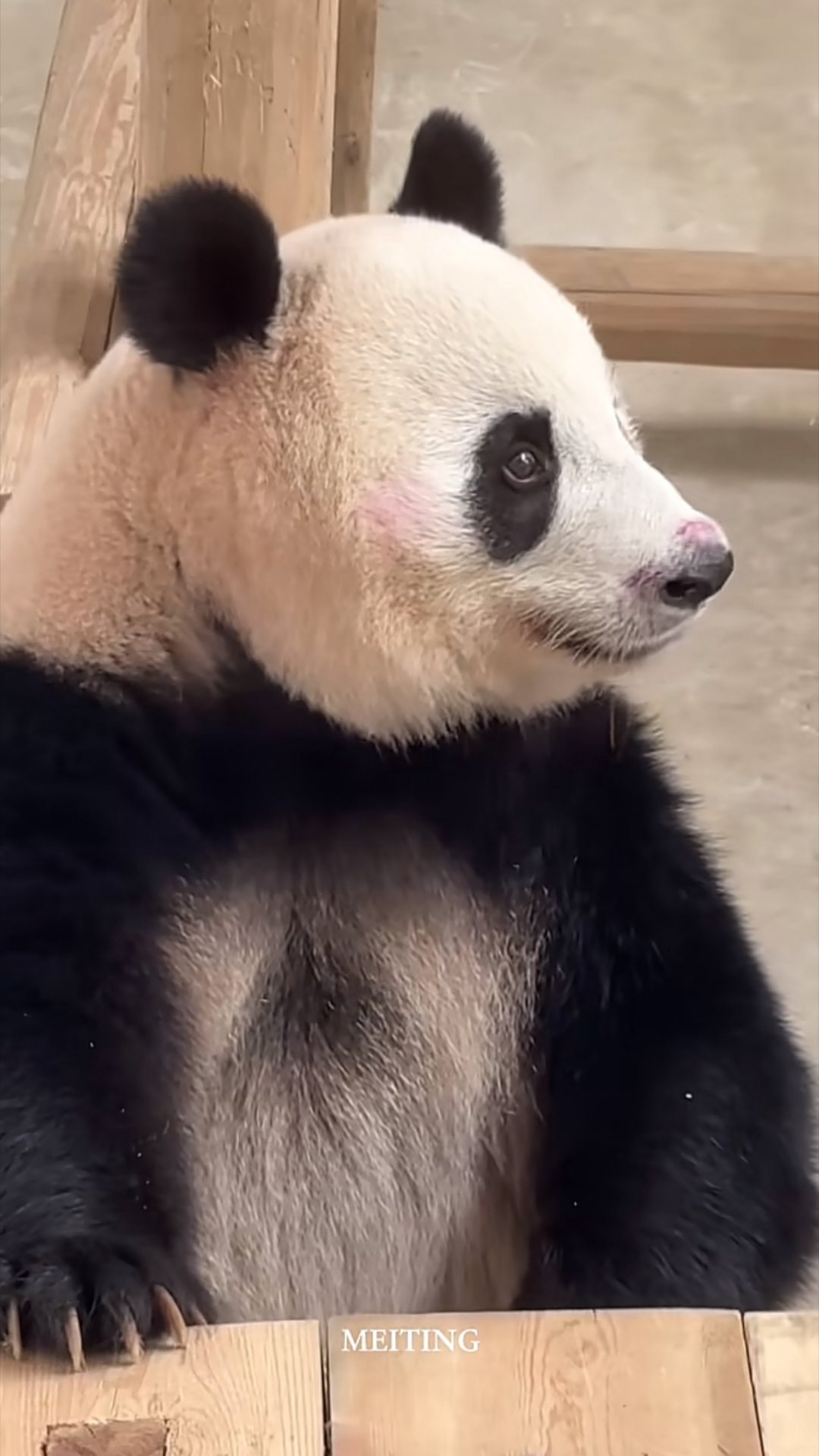好想念香果妹妹 
