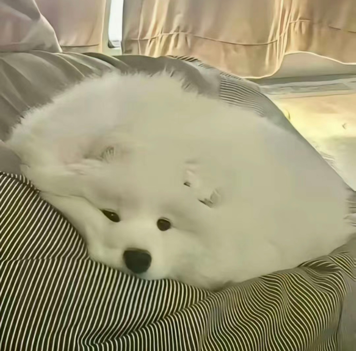 北大怎么还没给我打电话耶？ ​​​