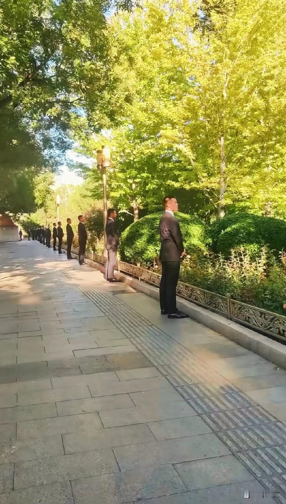 站似一棵松，不动不摇坐如钟。
他们个个身手不凡，皆为万中挑一的高手，功夫与绝对忠
