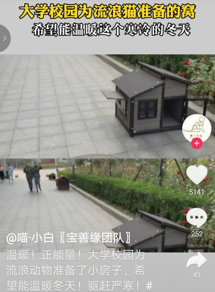 这是某大学为流浪猫准备的窝，让校园里的流浪猫有个家，让这个冬天不再冷！有大学师生