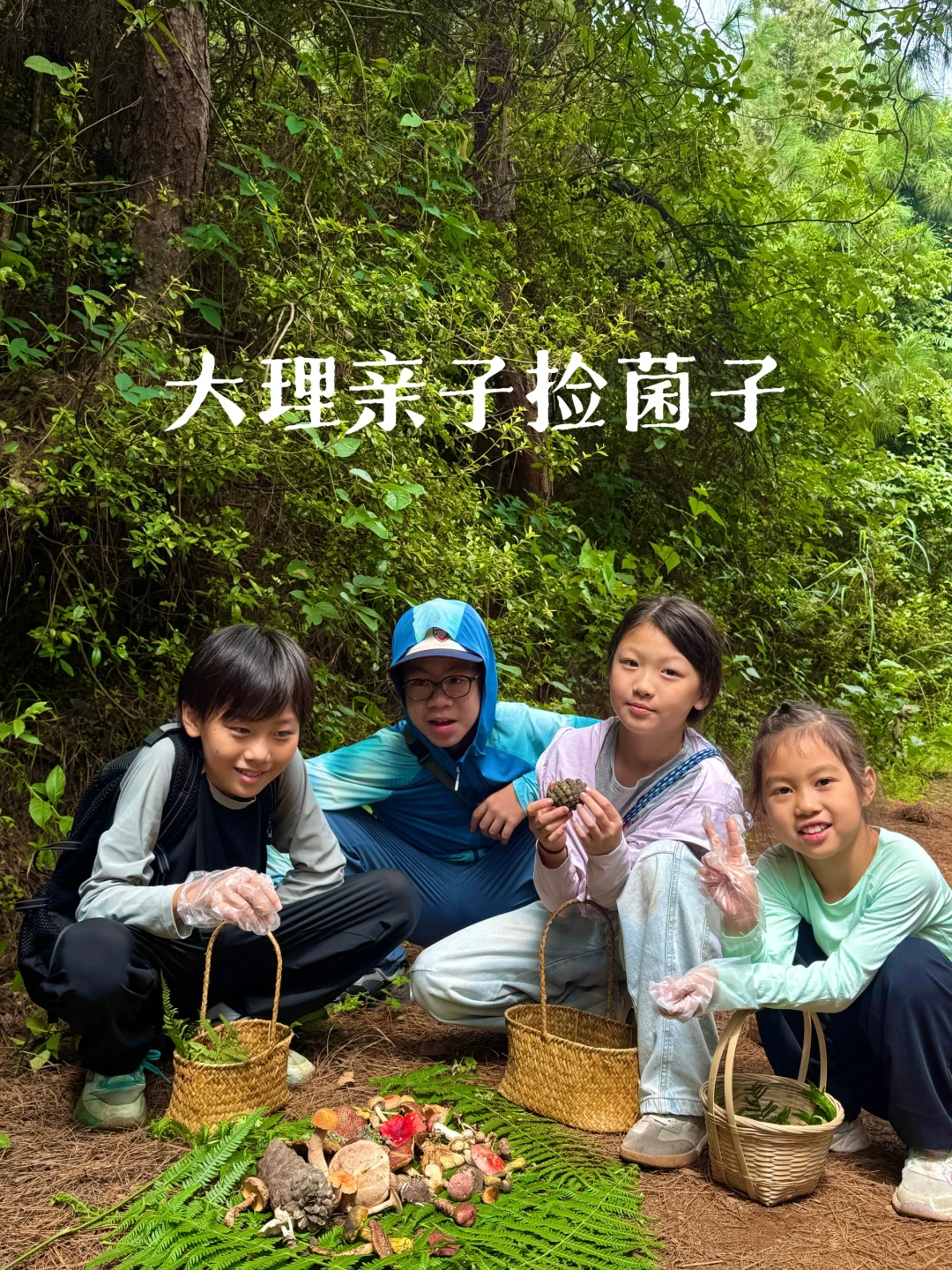 大理亲子捡菌子 | 捡到牛肝菌，红菇啦