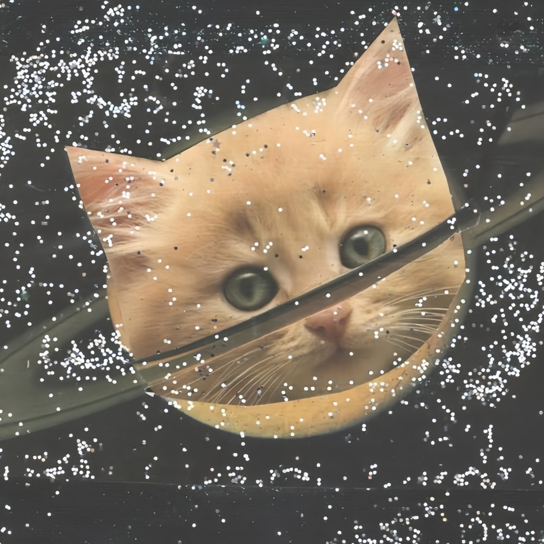 𝗦𝗛𝗔𝗥𝗘｜奇奇怪怪的头像  专栏 · 超级好玩的头像