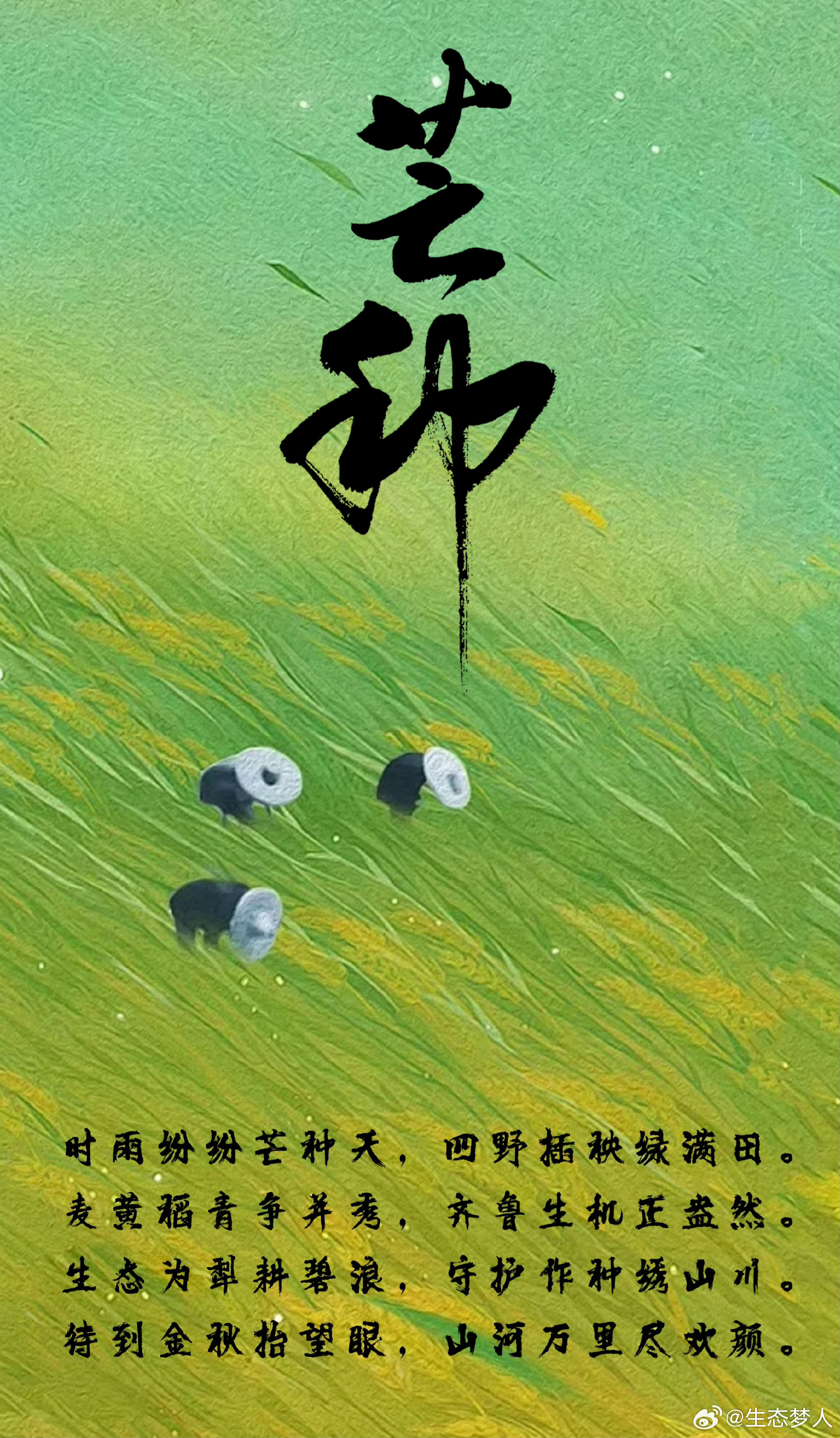 环保热点聚焦 美丽山东二十四节气。六五环境日   遇上芒种，“美丽山东”收获在耕