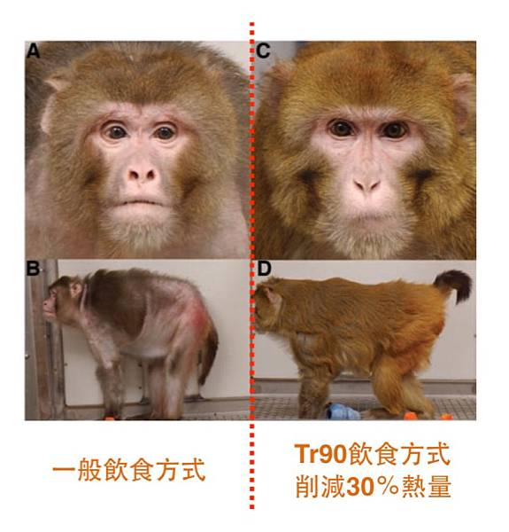 胆汁酸或许可以解释卡路里限制如何延缓衰老限制卡路里摄入，在多种动物实验中，都显示