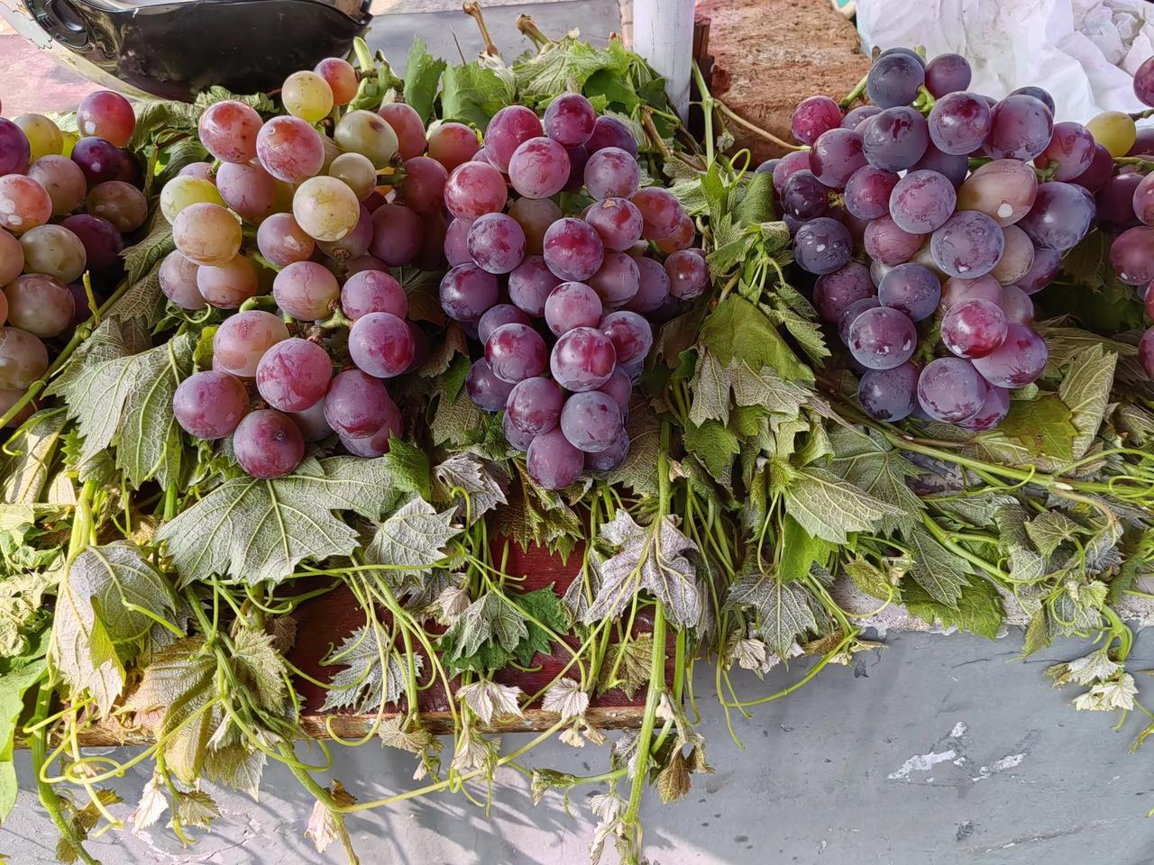 今天准备陪老婆回山东老家，去买东西的路上看见一个卖葡萄摊位，我下车一问价钱，居然