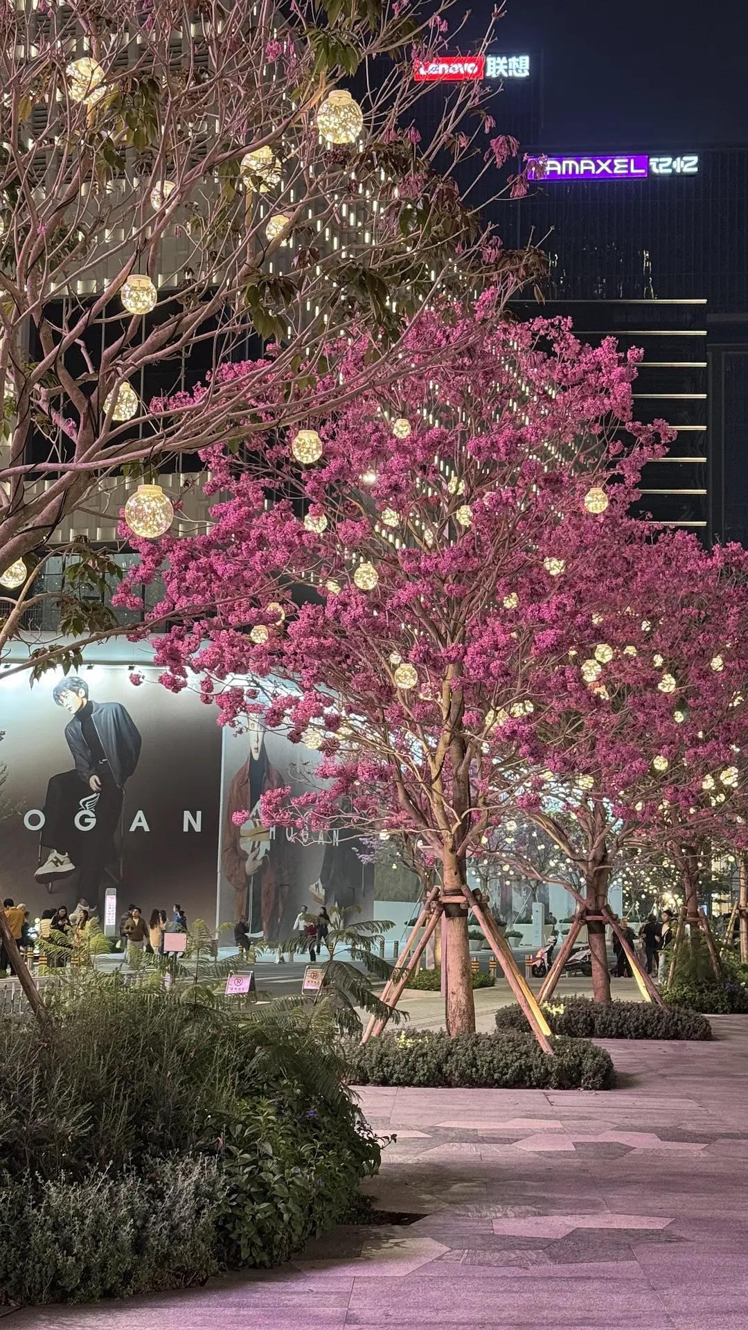 管理的本质，就是把复杂事简单化。刚走上管理岗时，我曾被客户投诉搞得焦头烂额，直到