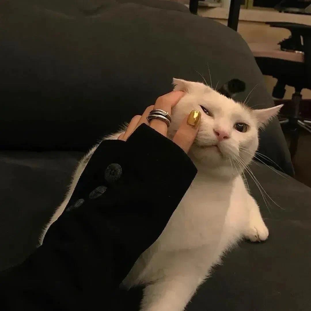 𝐼’𝓂 𝒻𝒾𝓃𝑒 ·͜·你怎么和谁都聊 好恶心别跟我说话了。 ​​​
