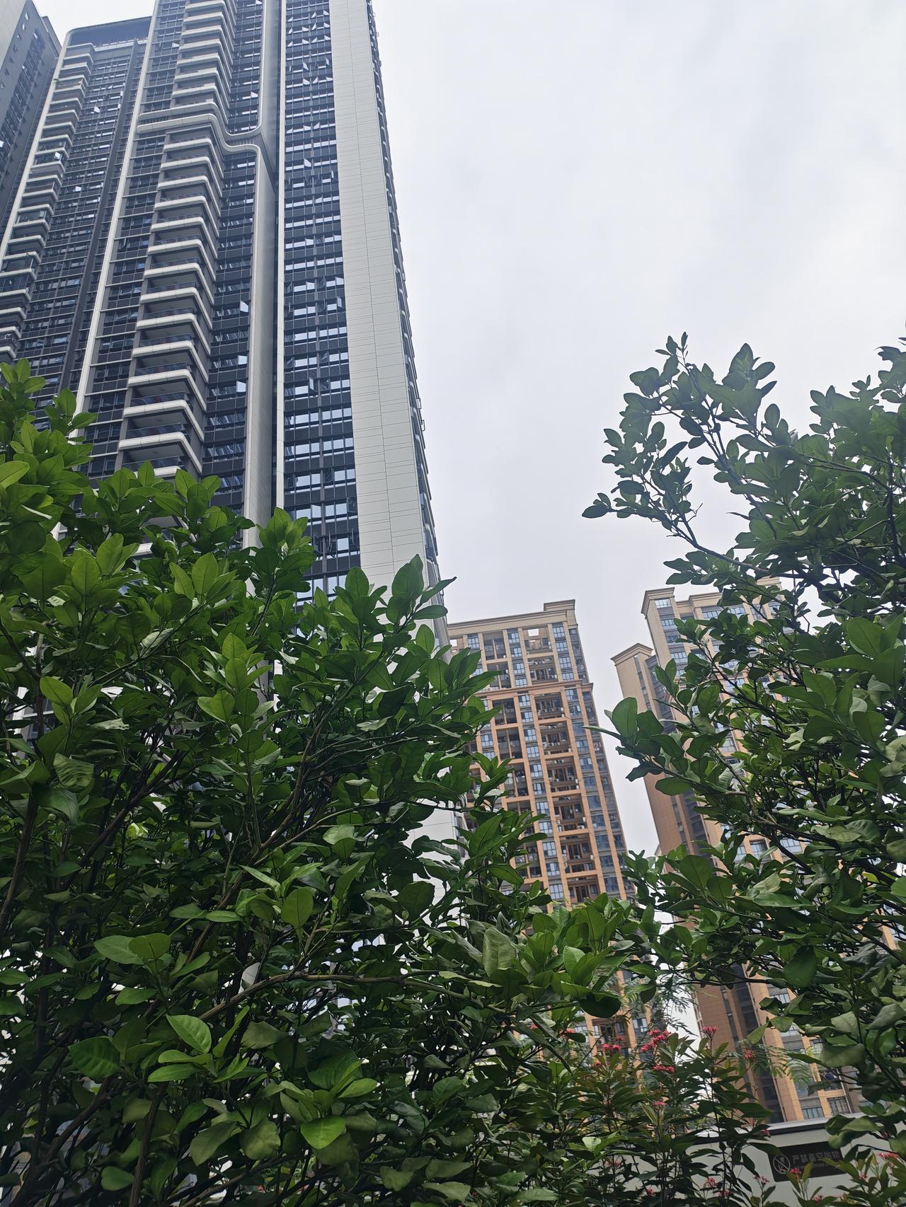 深圳地铁13号线北延长线即将开通，但是不知道作为普通的打工者，对这有多期待。其实