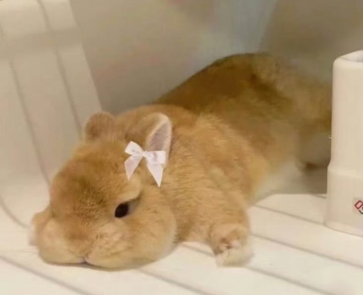 我家萌妹子在家是不是也这样 