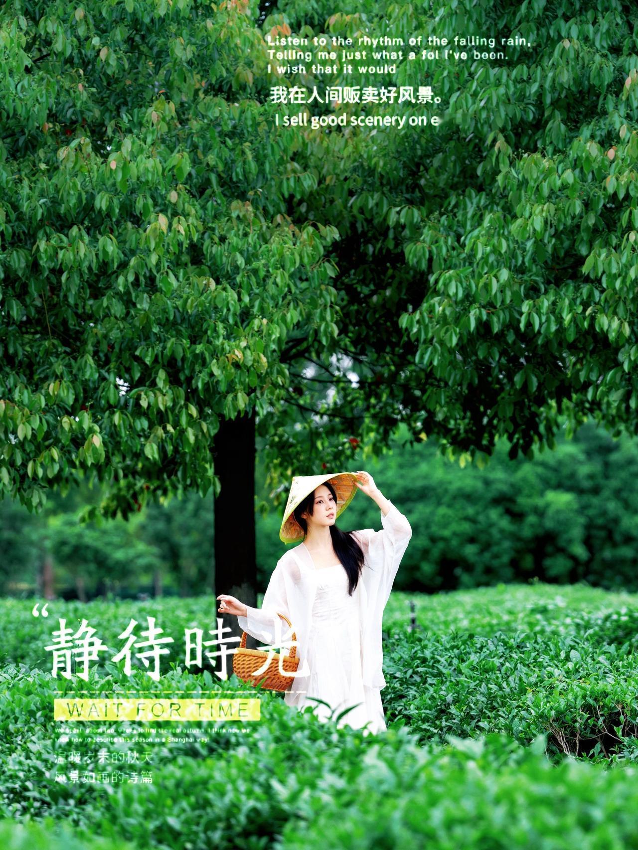 千万别眨眼，这个景点可以给到夯

谁懂啊！武汉黄陂藏了个现实版宋韵茶园秘境，不是