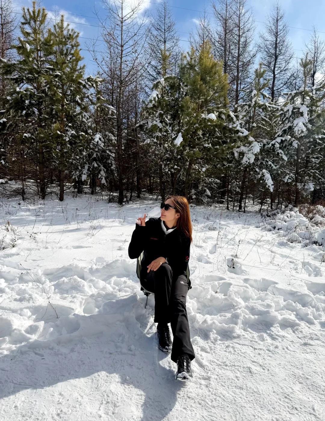 京郊小瑞士，美到随手一拍就可以live直出！❄️
雪季❄️的桦皮岭，才是徒步爱好