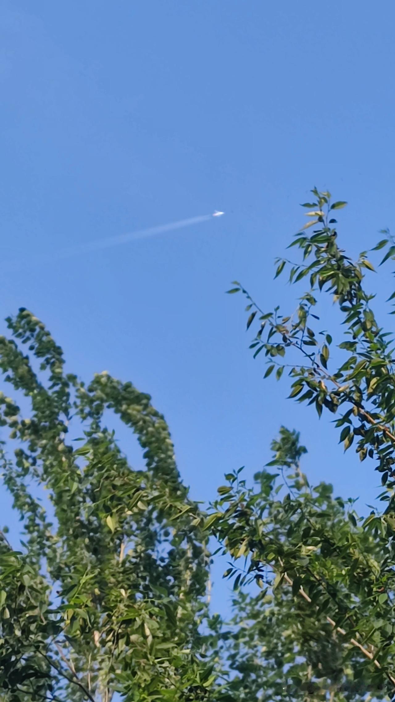 傍晚路过小公园
慢慢走着
天蓝风柔日暖
月亮爬在树梢
飞机来来往往

榆叶梅的果