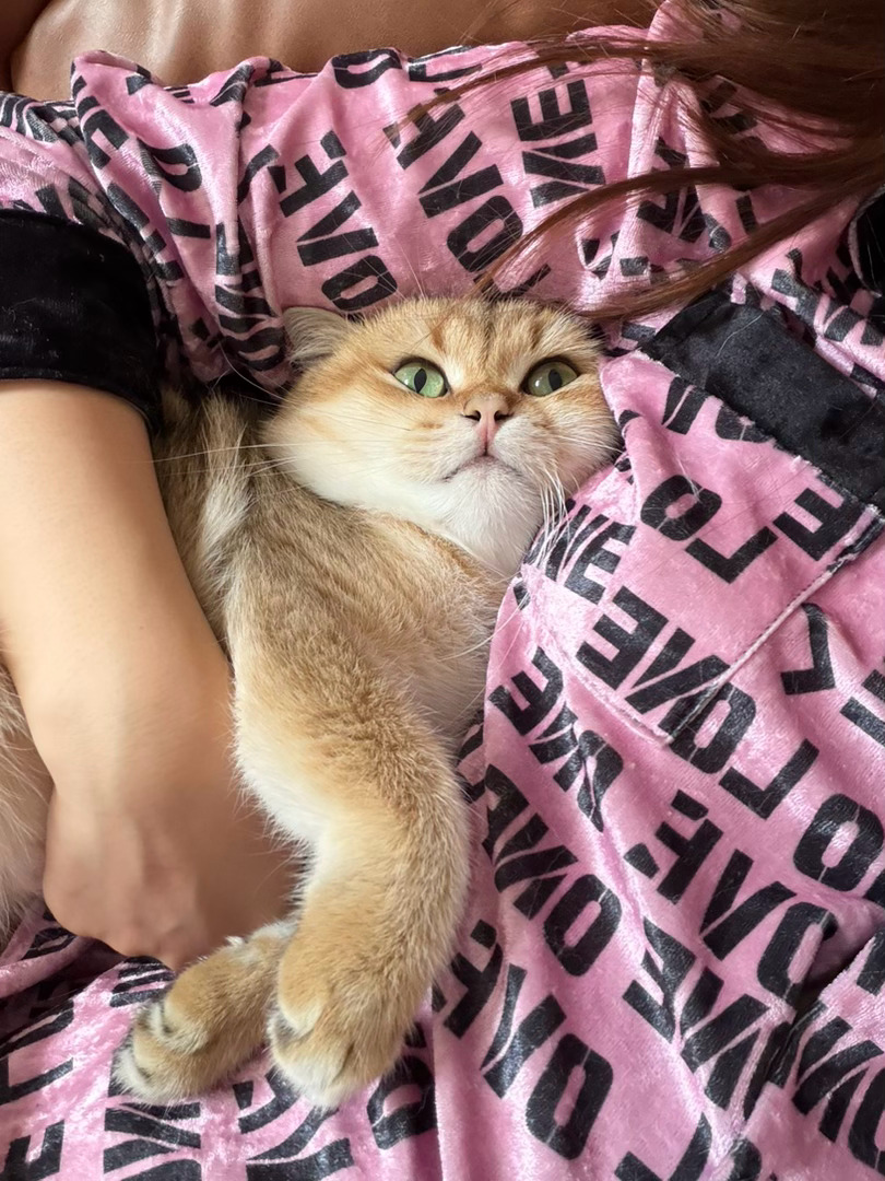 宝宝你萌鼠了我要开始天天吃馒头了😐 