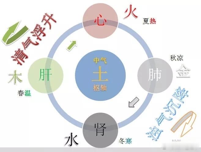 黄元御一气周流 · 对接整套浮阳调理体系结合咱们之前的引火归元贴、龙牡山萸肉潜阳