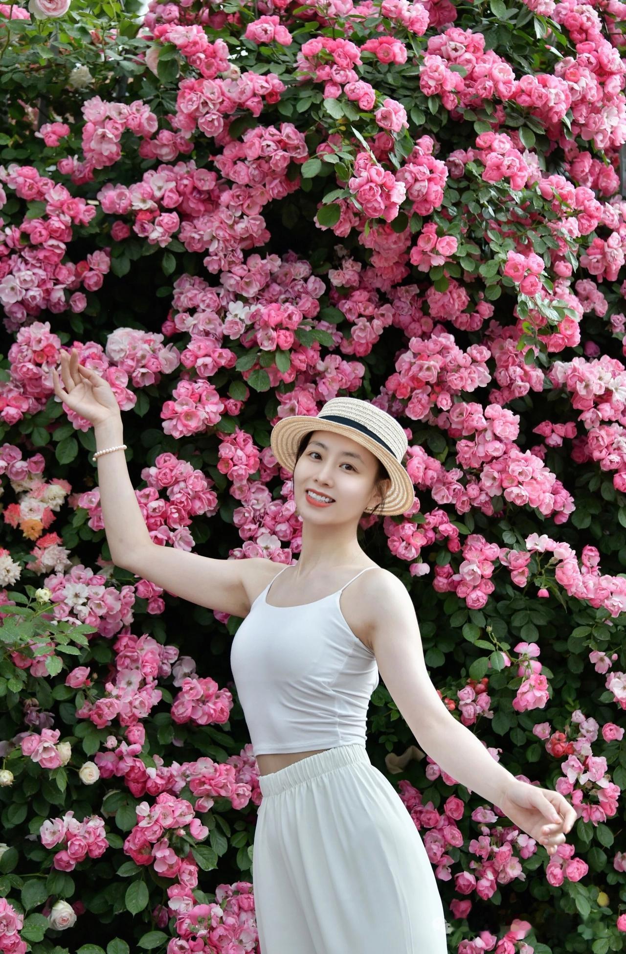 蔷薇花开！！[送自己一朵花][送自己一朵花]