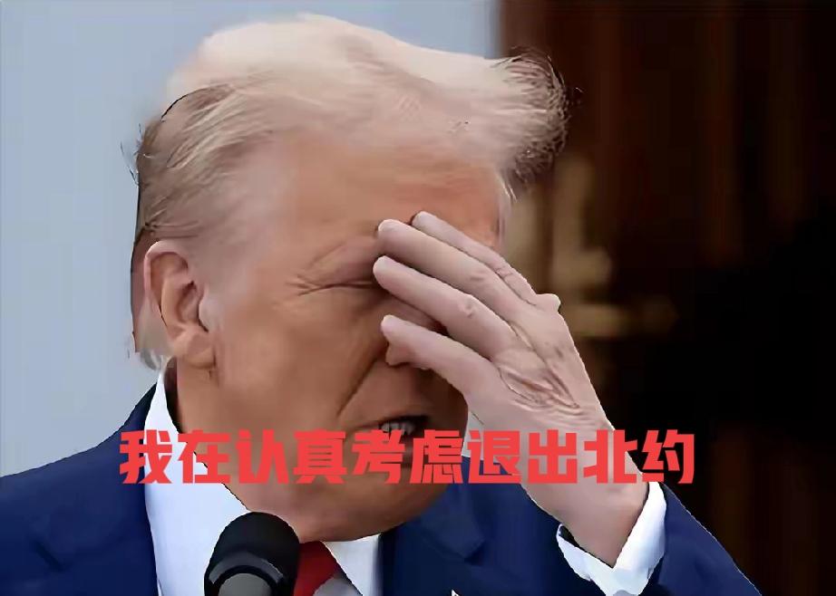 美国总统特朗普气的要退出北约，4月1日，特朗普在接受英国《每日电讯报》采访时说，