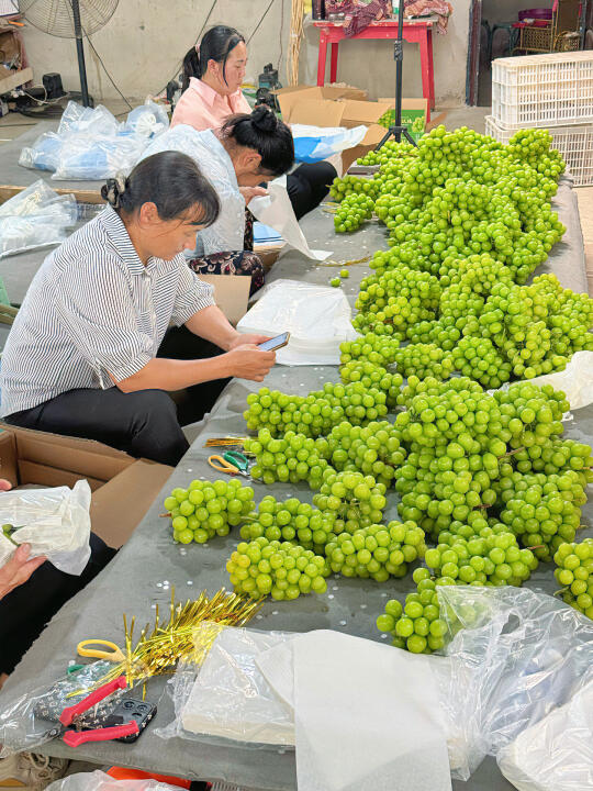 仓库打包姐姐都在说这个价格也太划算了！