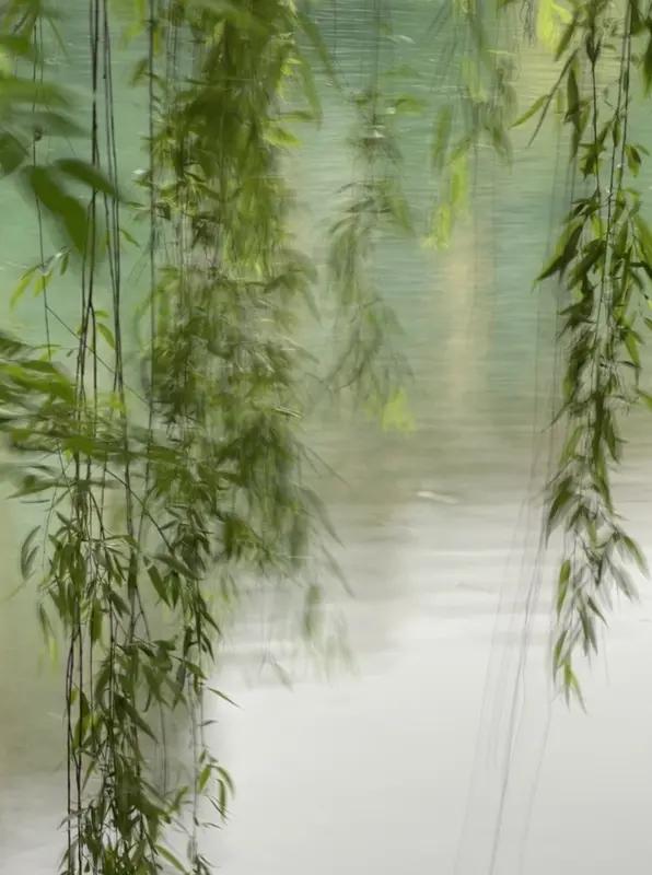 上联：醉看莲池沉月影，诚邀下联闲观柳岸舞清风。