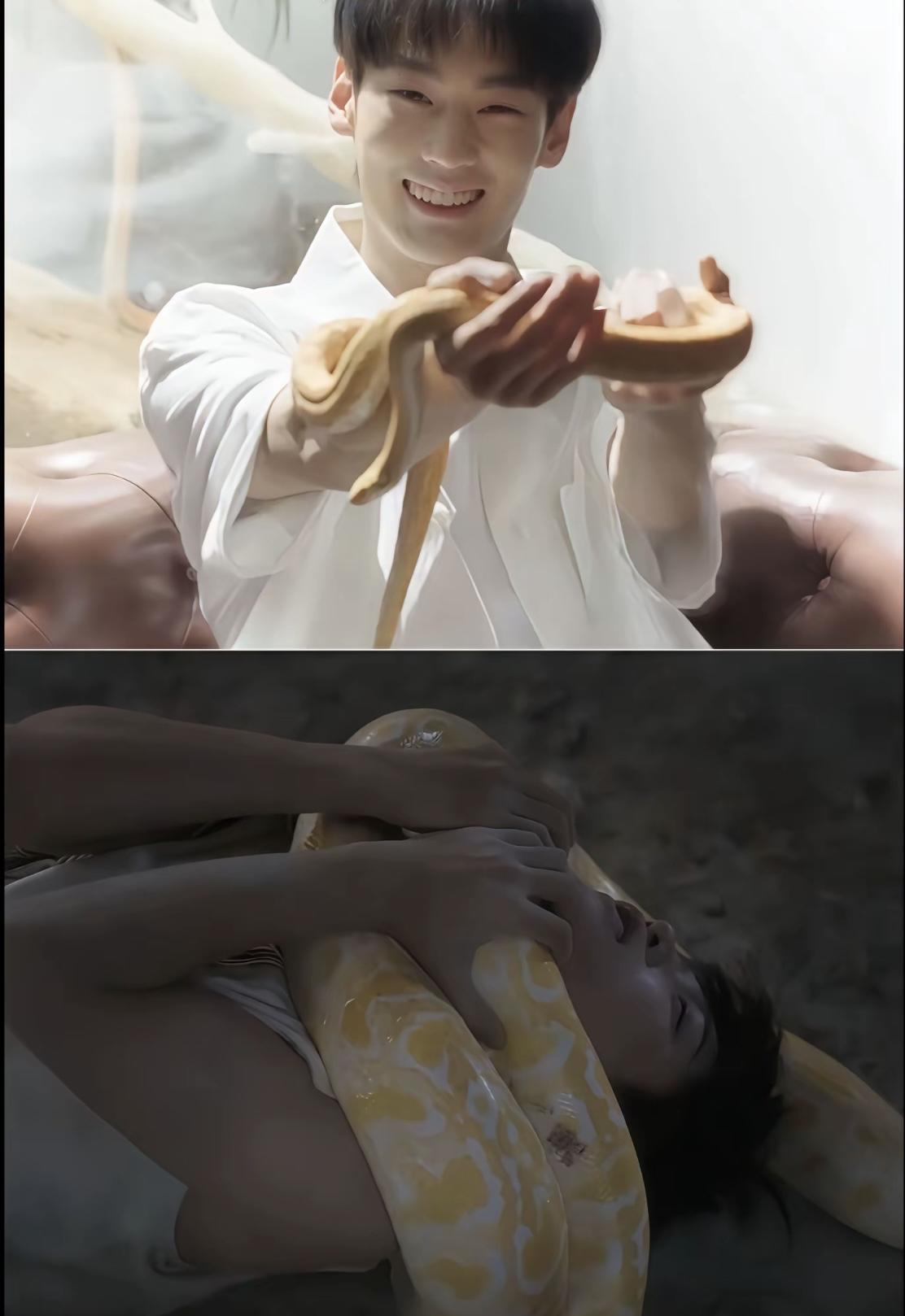 大黄龙：换妈，你也不说一声
小醋包：我一直只认这一个妈呀
世子之争向来如此