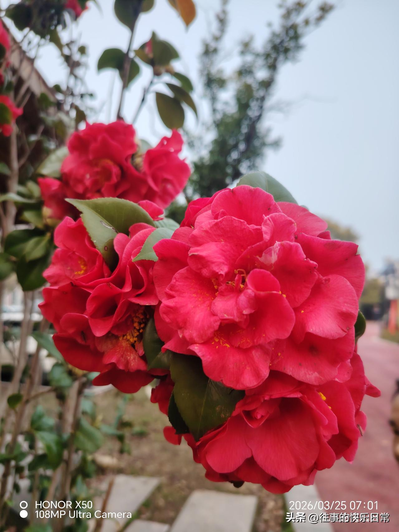 你觉得养儿子最需要注重什么培养孩子世界观很重要