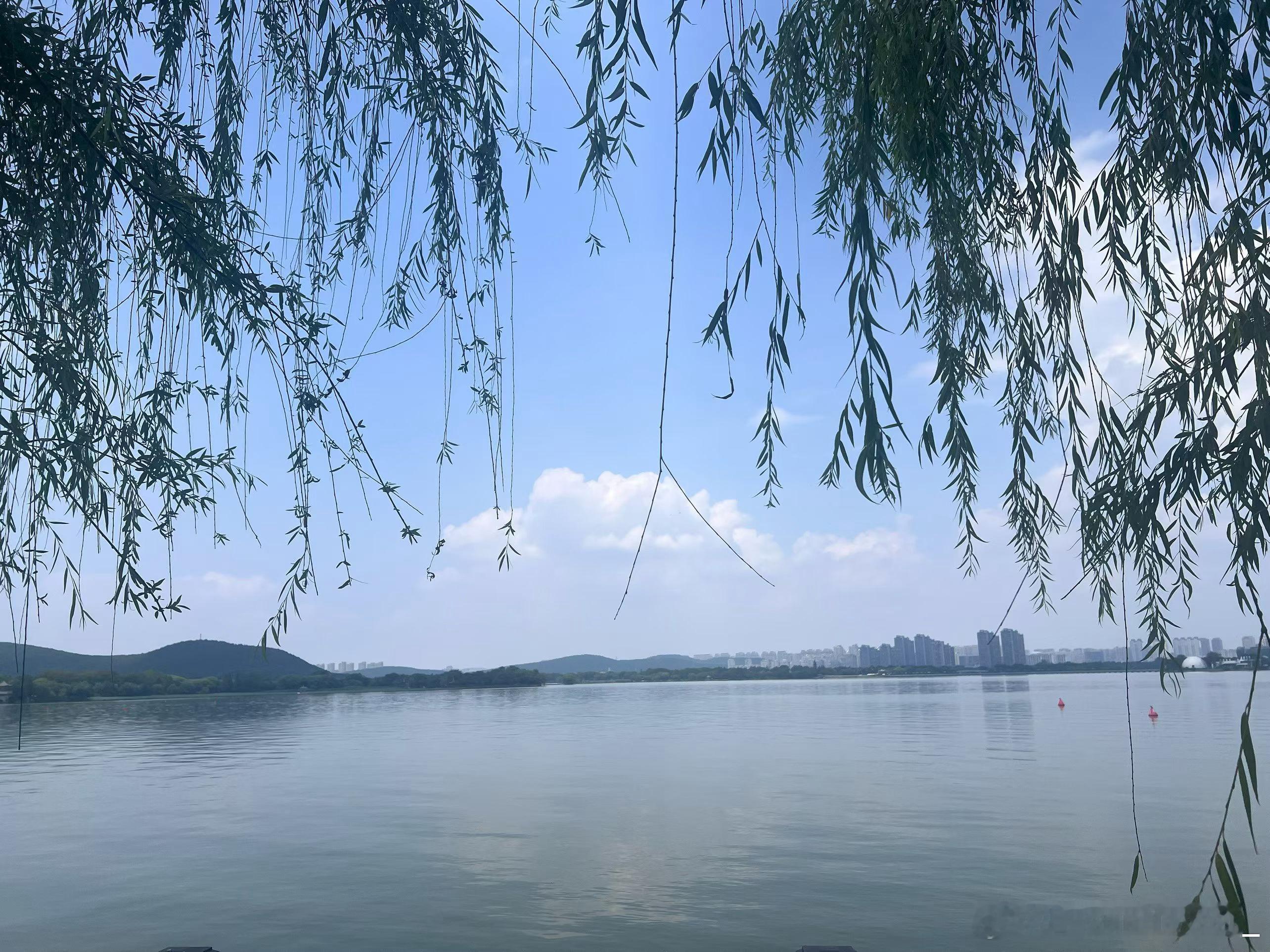 把身体照顾好。把热爱的事做好，无论顺流还是逆风。告诉自己。每一步努力。都是为了遇