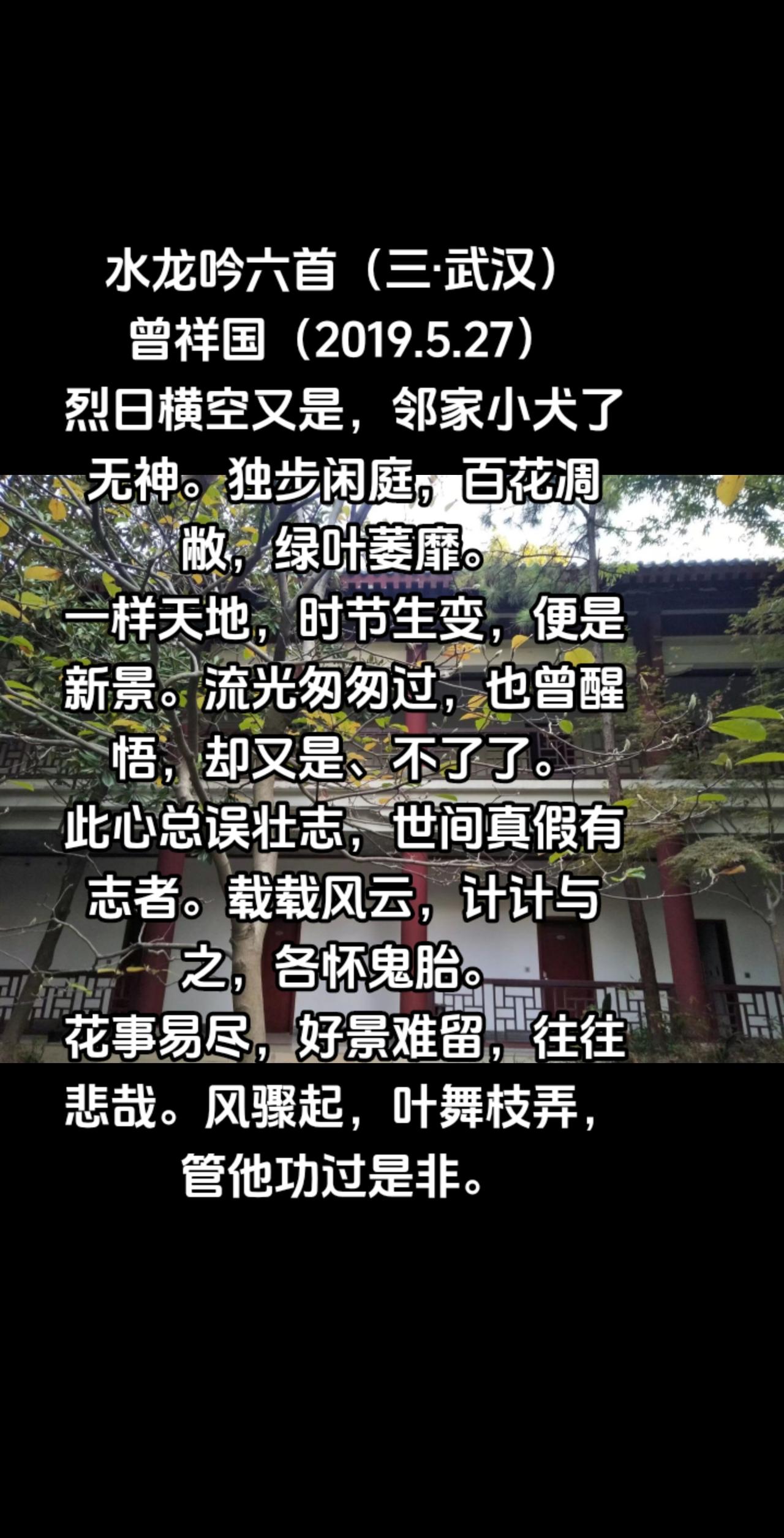 水龙吟六首（三·武汉）