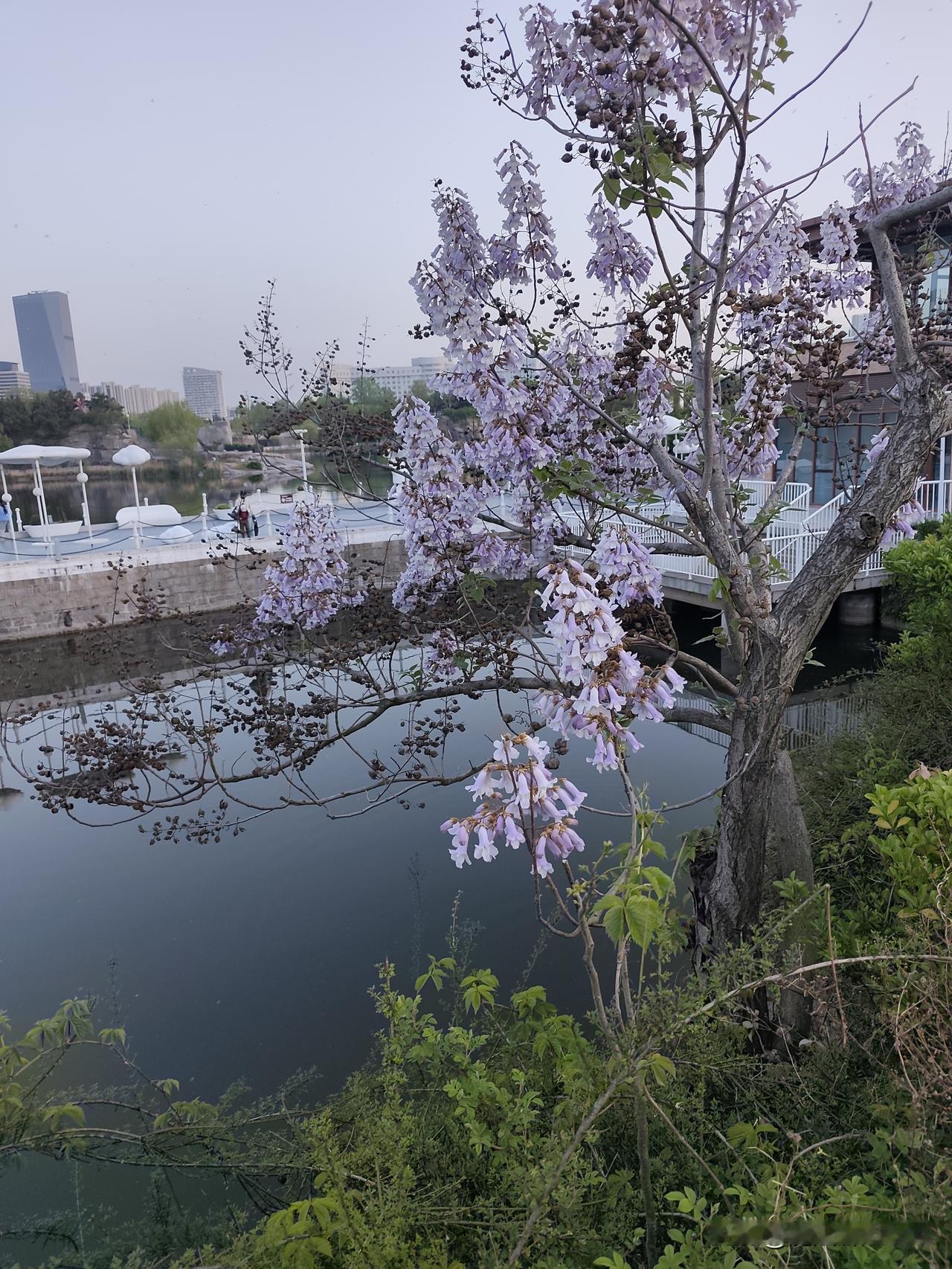 问个问题：你有多久没去理发店了？
5年前我就不去了，不烫不染，长了就自己剪剪，都