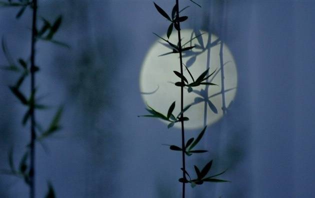 不要难过，人的运势就像天上的月亮一样，此消彼长，缺了的部分，还会圆回来。 ​​​