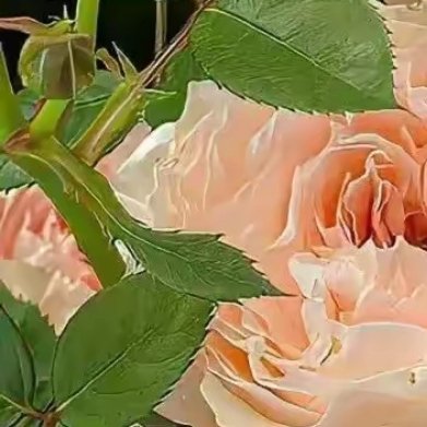 在这个世界上，在时光的长河中踽踽独行，每个人的人生恰似一首独特乐章，拥有独属自己