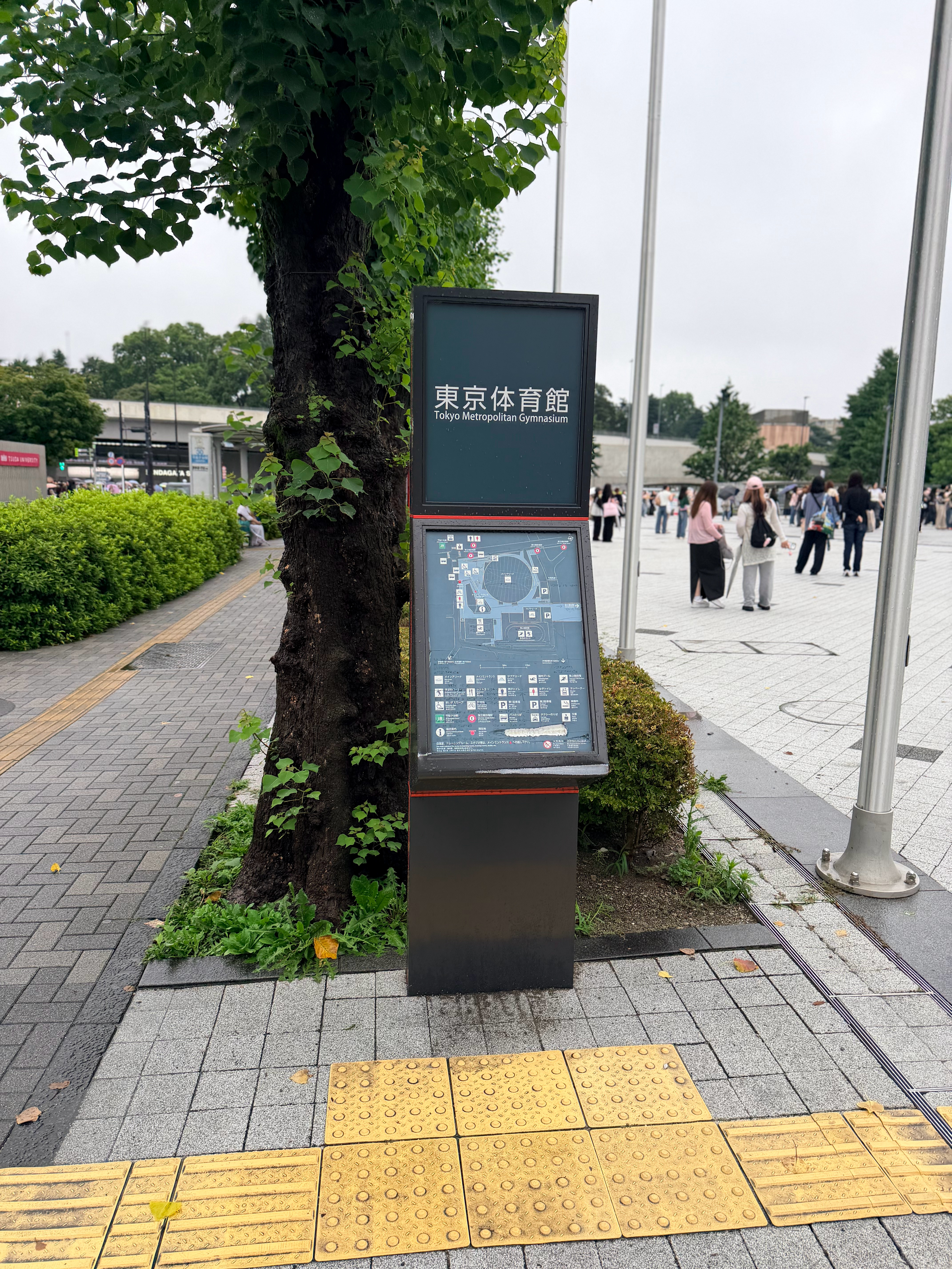 我没招了，我产在结婚，我提前替他俩来适应日公场地了 