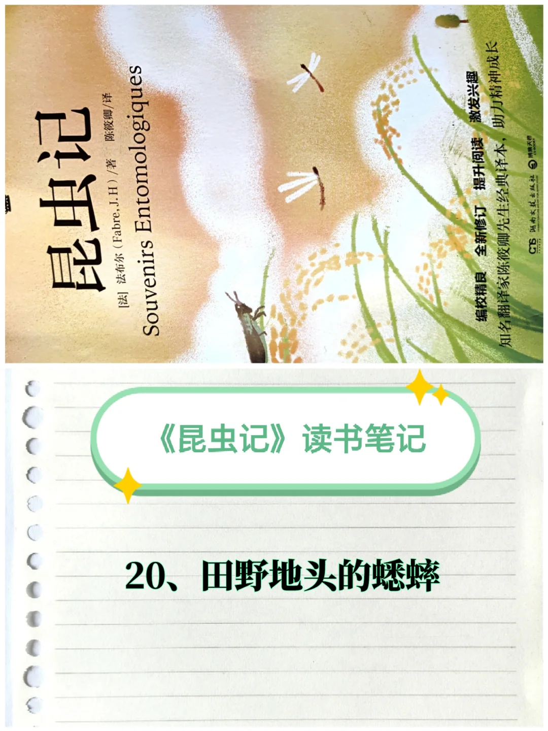《昆虫记》笔记（20）：田野地头的蟋蟀