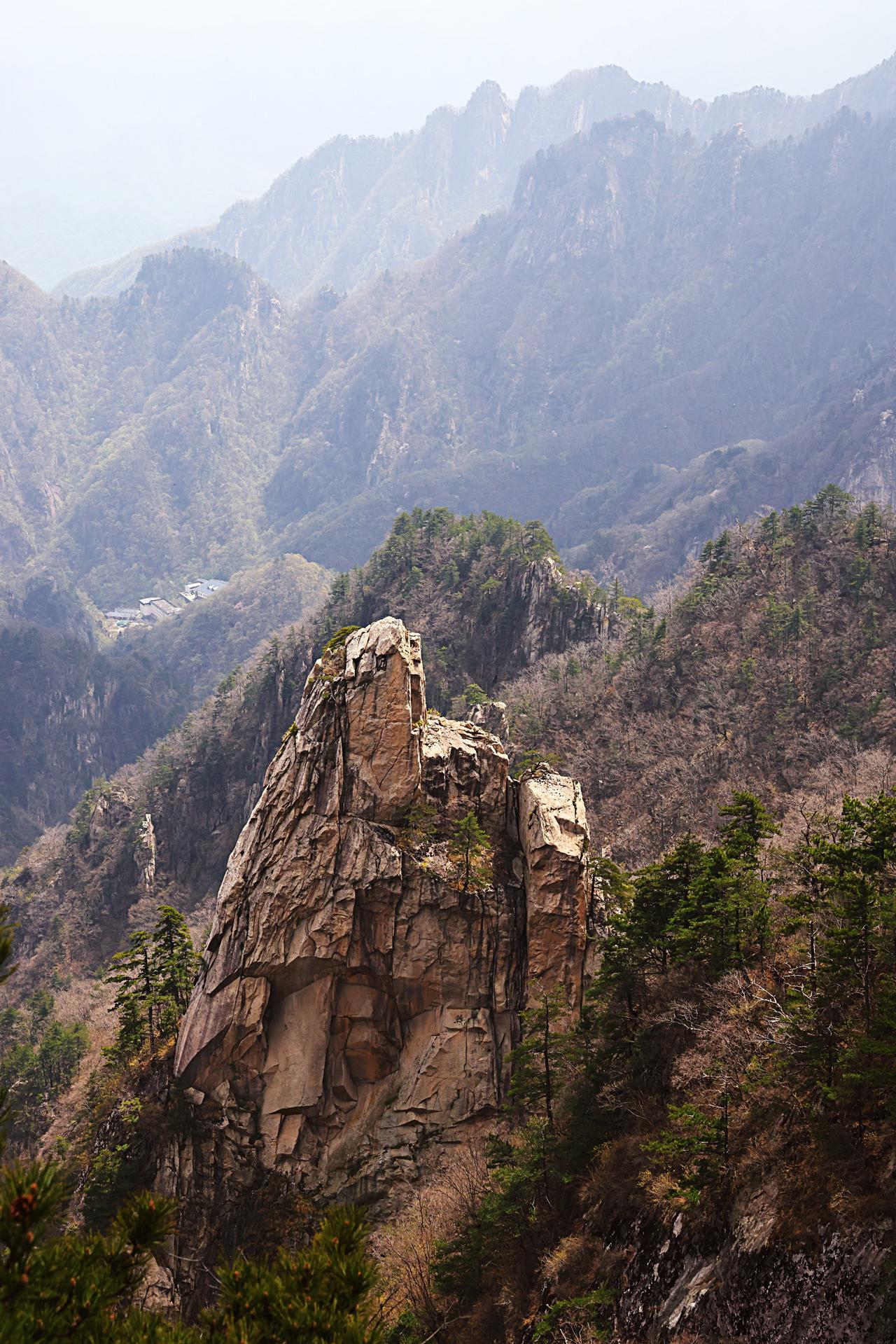 我随手拍的风景图是武夷山的红墙绿水。自驾去武夷山超省心，路上不绕，景点分散，想去