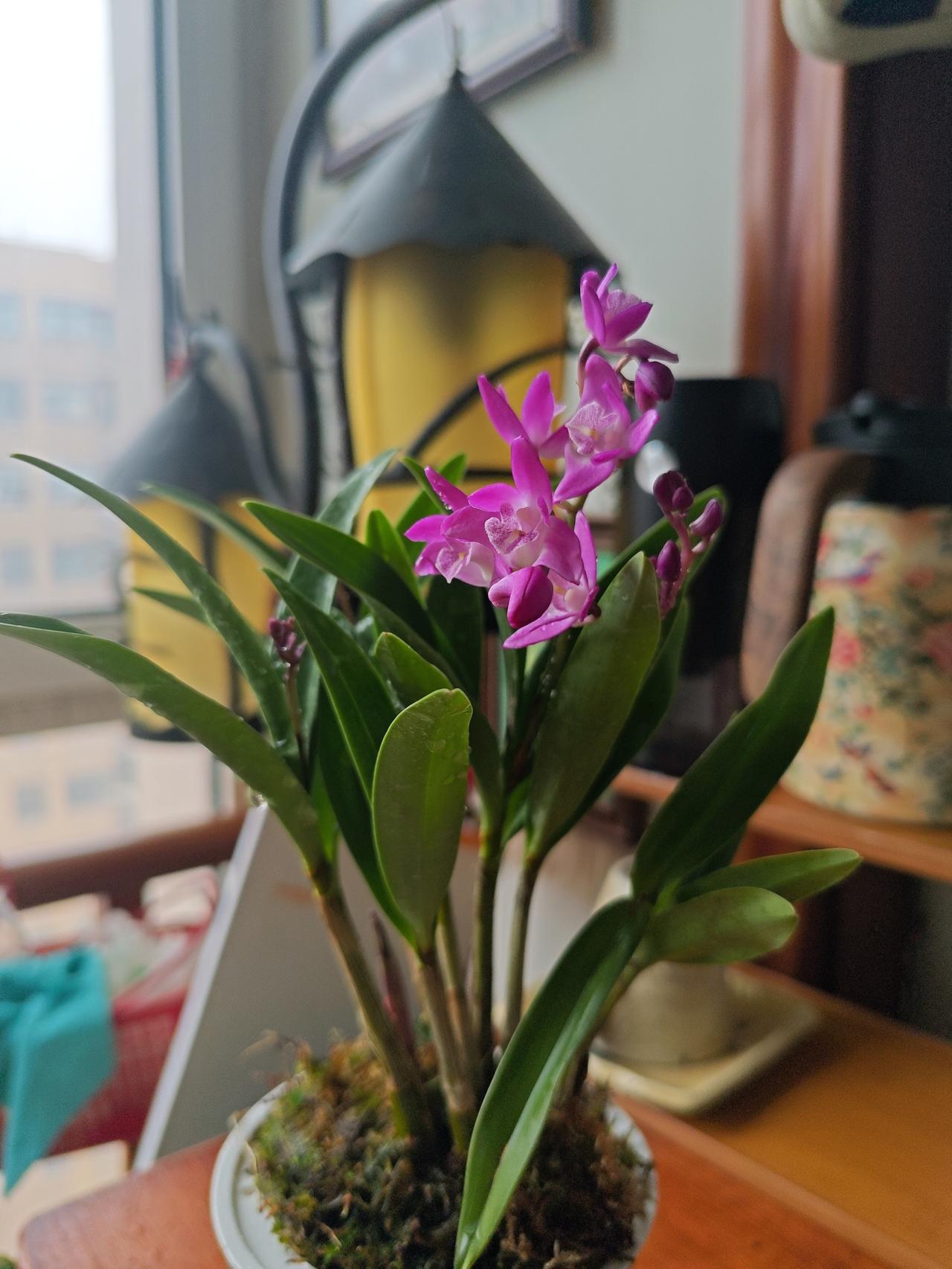 无由来的焦虑——自己太作

  这几年因为糟心事太多，身体始终处于一种莫名其妙的