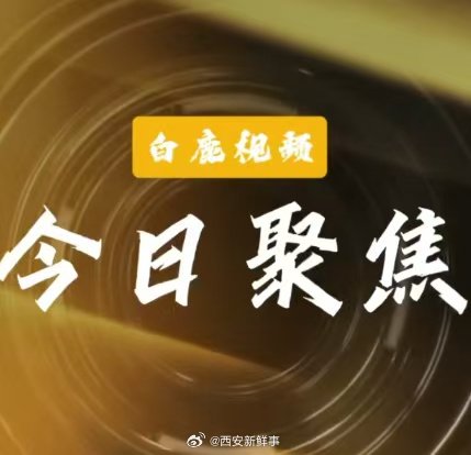 【私域营销坑老骗老】315晚会曝光私域营销2026年央视“3.15”晚会开播，节