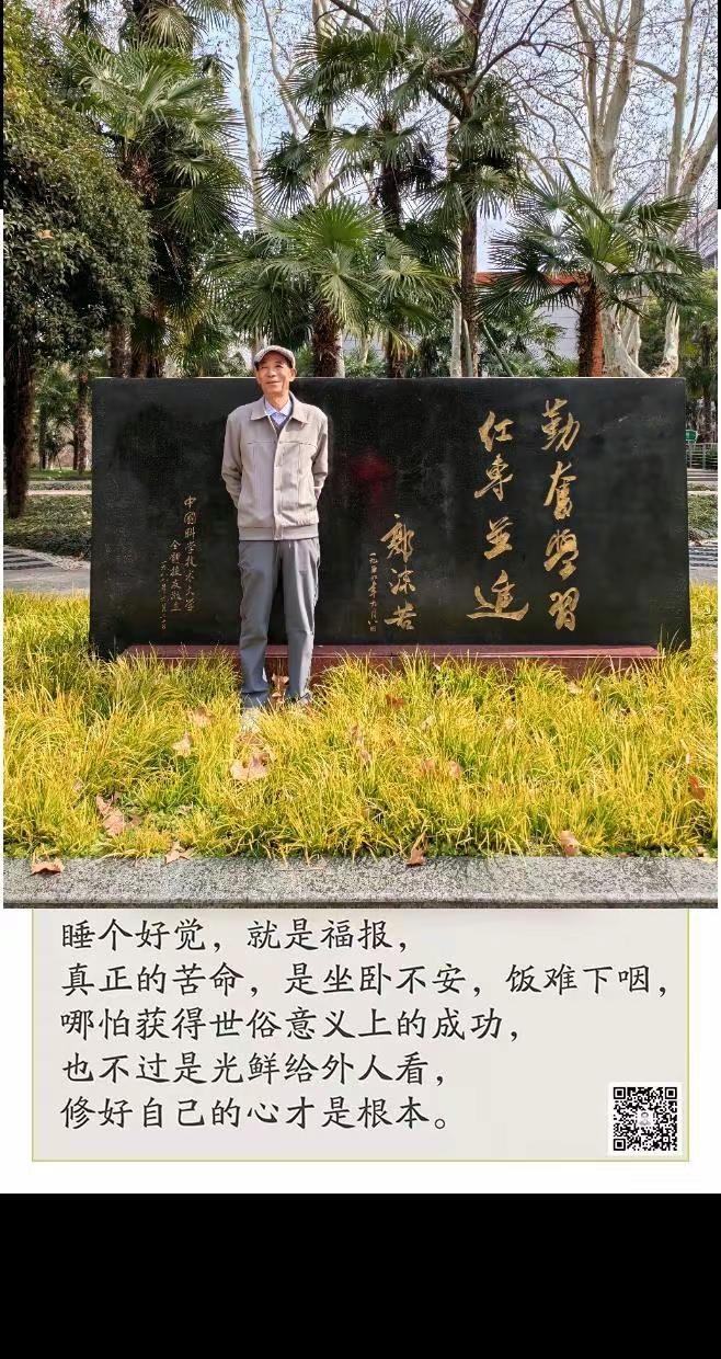 分享我的慢生活笔记