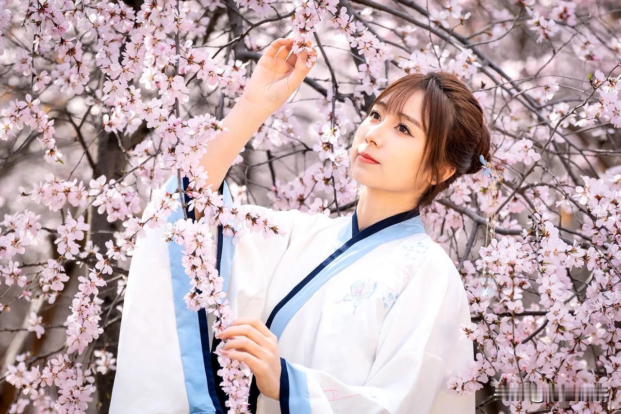 #桃花盛开的美景图片欣赏##原创摄影#
