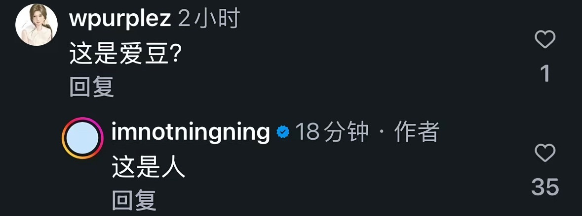 宁艺卓在ins用中文回复黑粉评论 