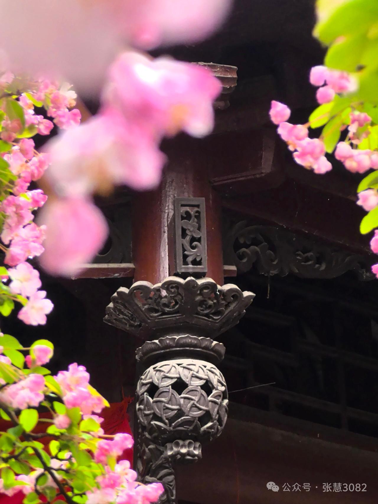 分享今日随手一拍