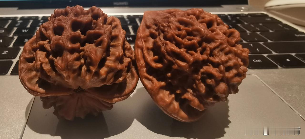第五次第十天，有点光泽的了。今天学校老师反应，小朋友上课在玩我送给她的小核桃[捂
