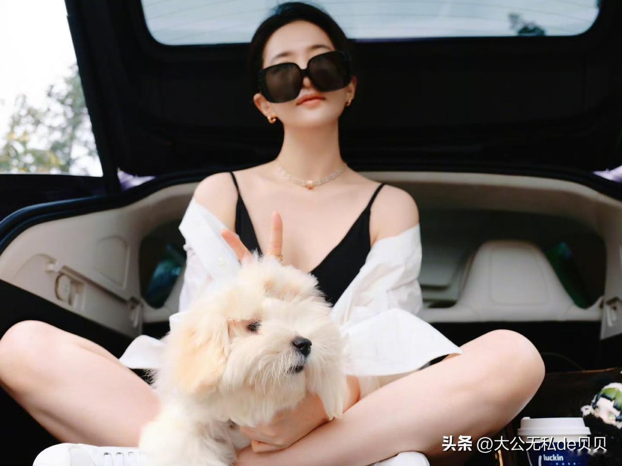 说实话，内娱最该点名的是刘亦菲这样的。

流量明星，粉丝量庞大，又是美籍华人。