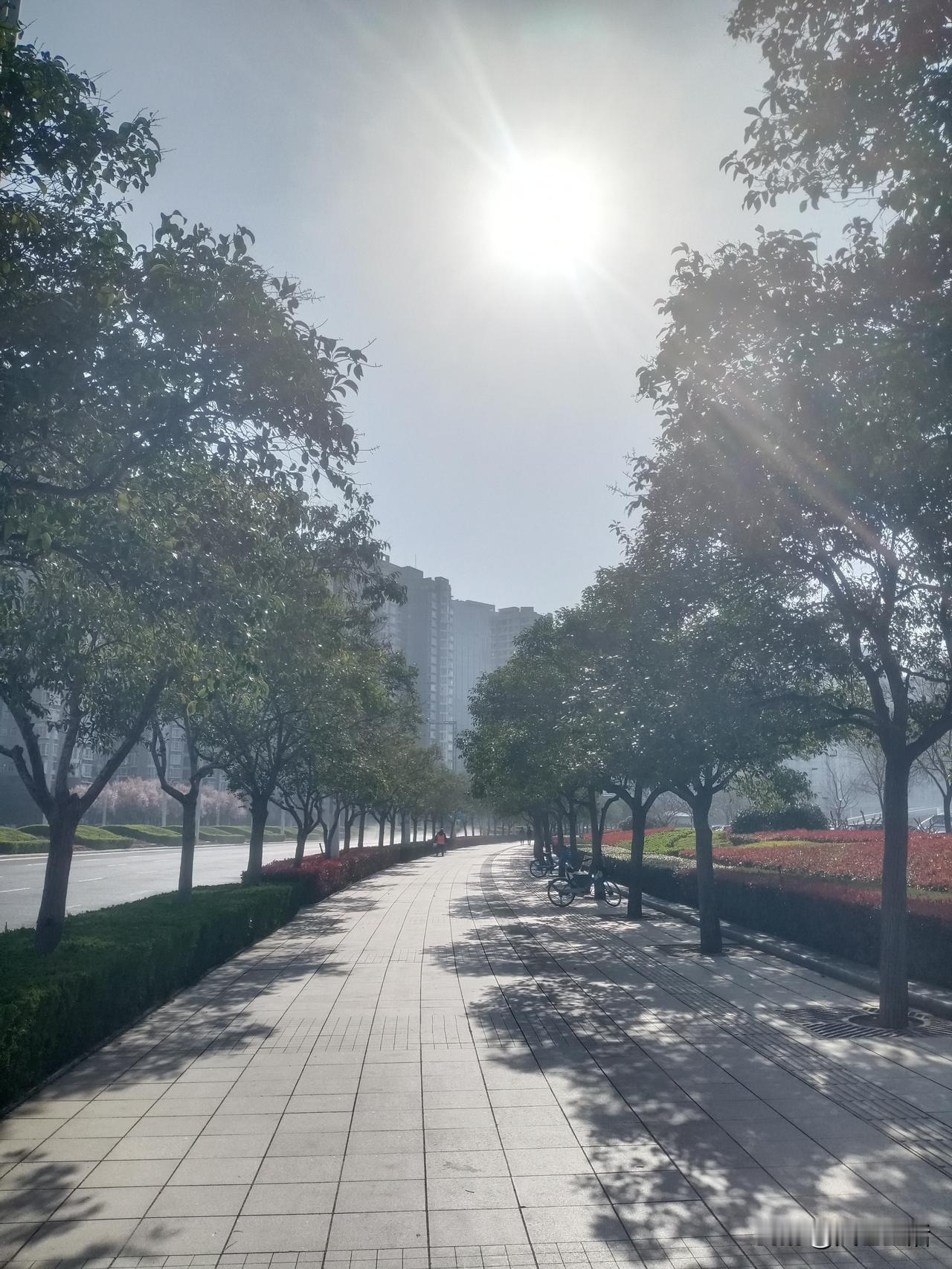 按纪律和计划执行，不仅能让你结果正确，还能让你持续做到正确。  