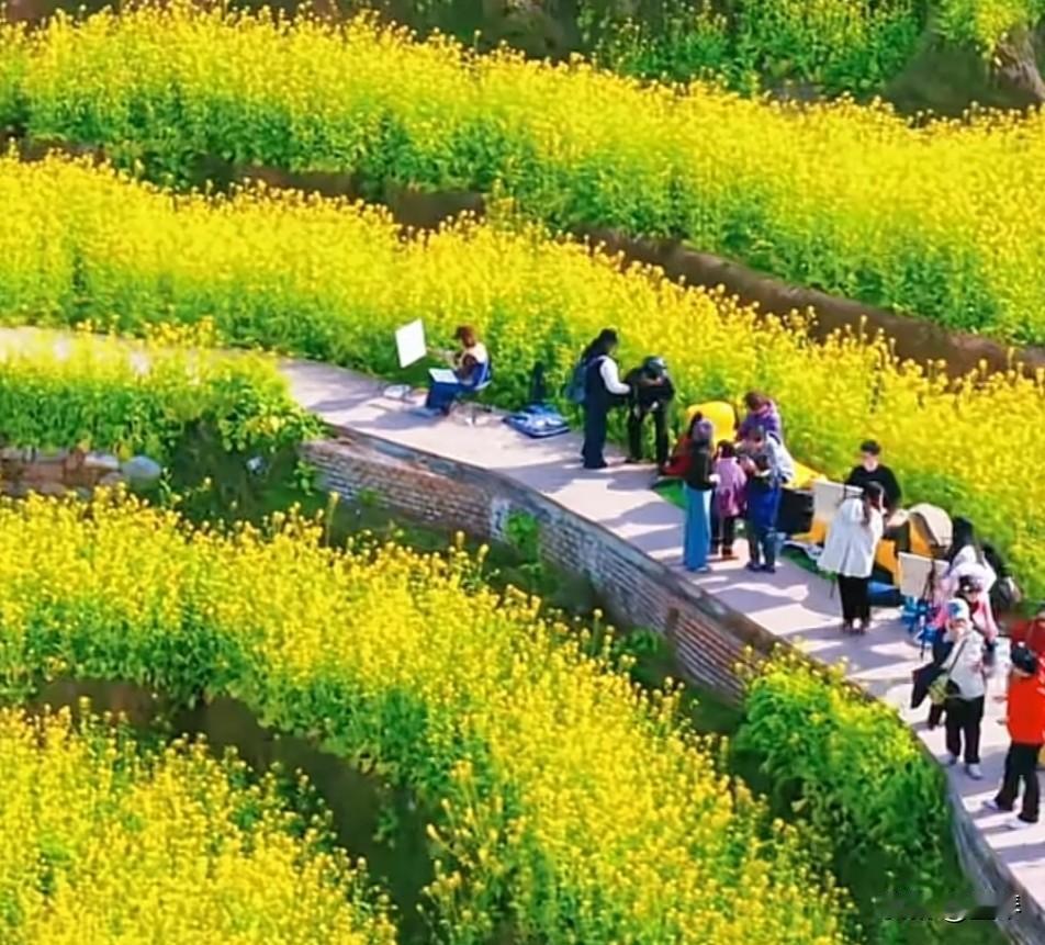 沉默，其实是因为寒了太多心，逐渐的变得不悲不喜，不闻不问。