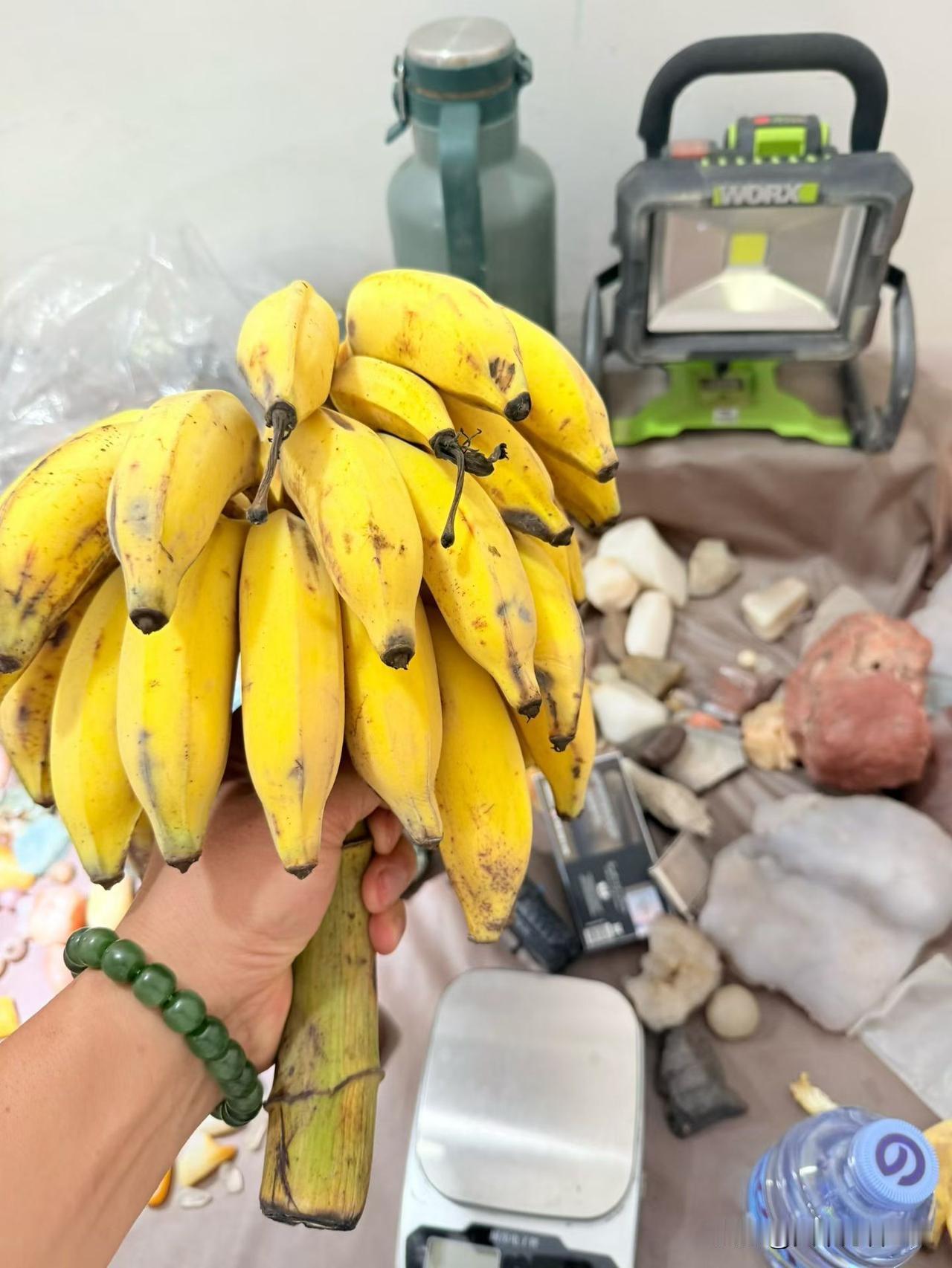 今日美食记录