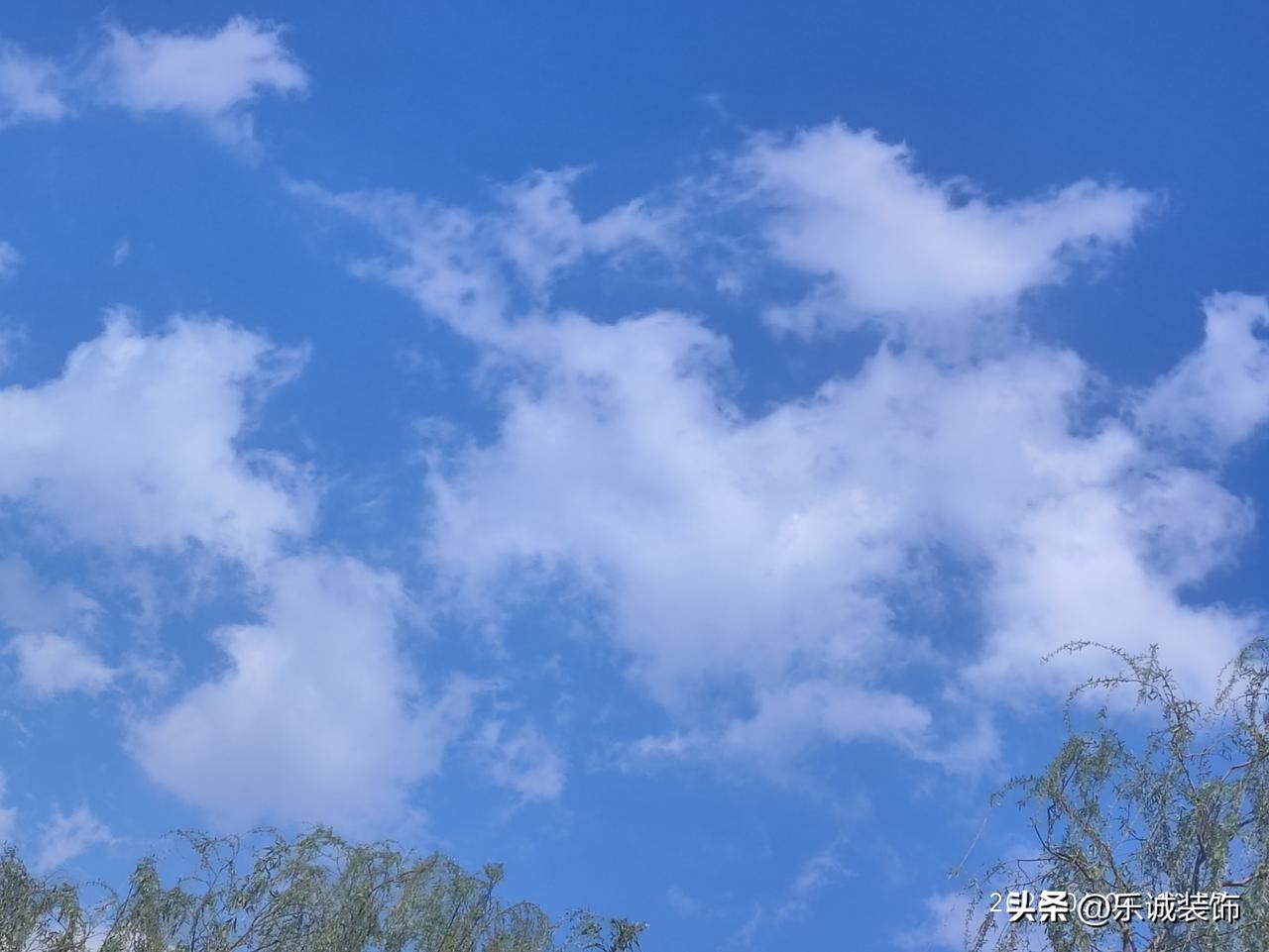 朝阳六月，碧空如洗，澄澈的天蓝铺展在楼宇林木之上，团团白云恣意舒展。
絮状云絮或