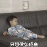 怀月谈谈科技