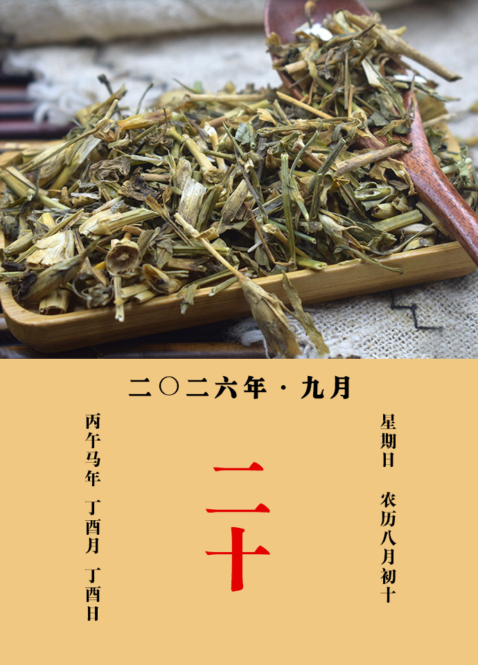 每天一味中草药 陈藏器说：瞿麦全草主虫毒，敷竹木刺入肉中不出，及痈肿。子，治月经
