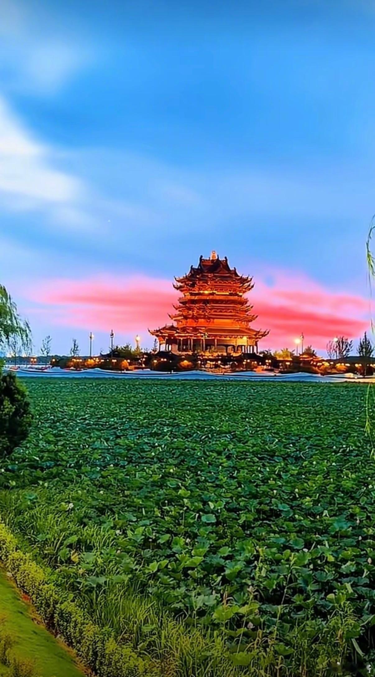 新建元2034杯 半决赛——中国足球小将 红队主力中锋袁良宇累计两张黄牌停赛，又