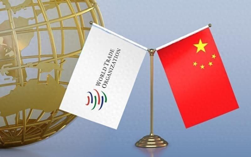 很多人观察中国，只看一个排名，却忽略了一套更大的运行逻辑：一个国家的现代化水平，
