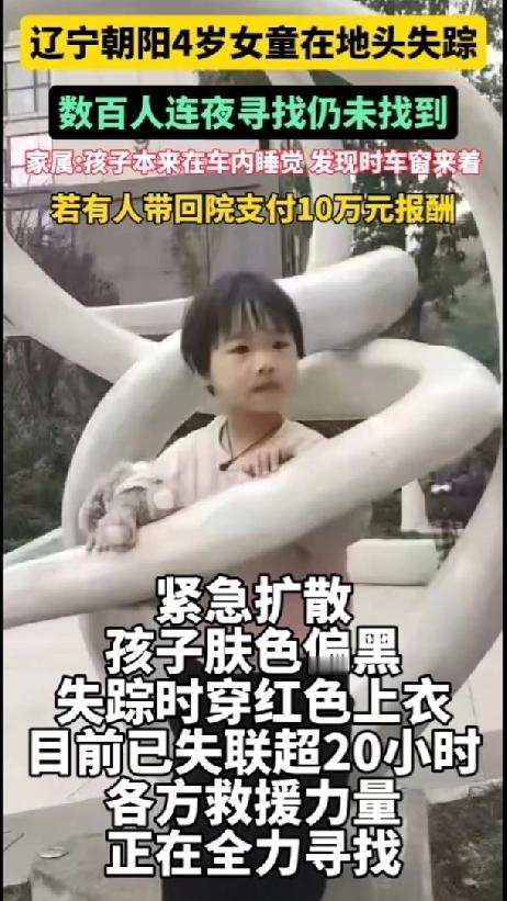 紧急寻人！辽宁4岁女童地头车内失踪超20小时，全城急寻线索
 
揪心！10月15