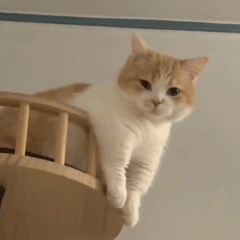 #年轻人买黄金到底是在买什么#众所周知 黄金价高 买的当然是安心啊 黄金多好看啊